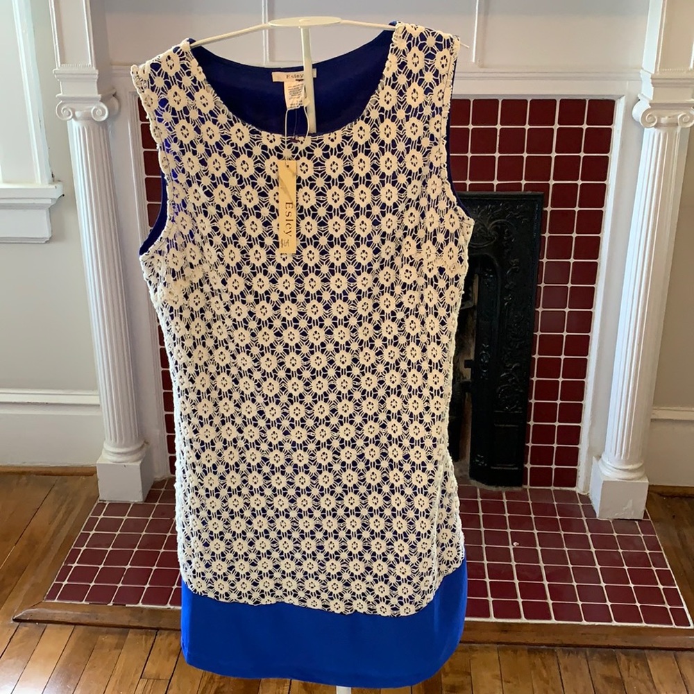 Easley lace front daisy dress. NWT. Retail 88. Bought on sake for 64